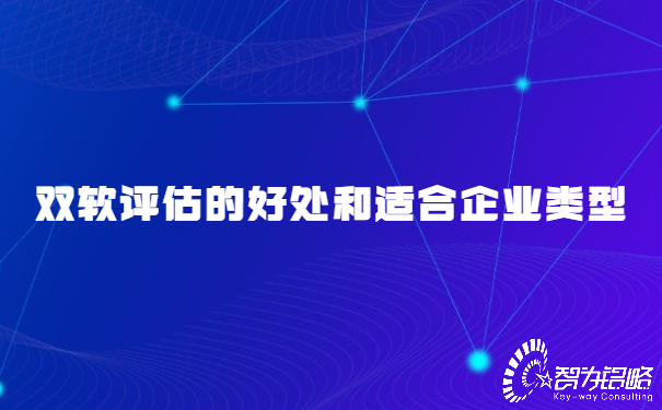 雙軟評(píng)估的好處和適合企業(yè)類(lèi)型