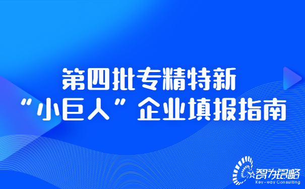 *四批專精特新“小巨人”企業(yè)填報(bào)指南.jpg