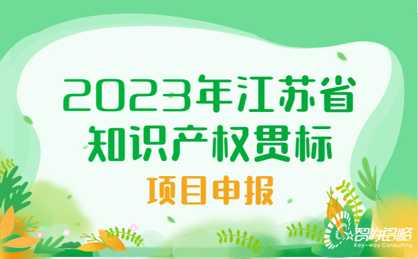 2023年江蘇省知識產權貫標項目咨詢