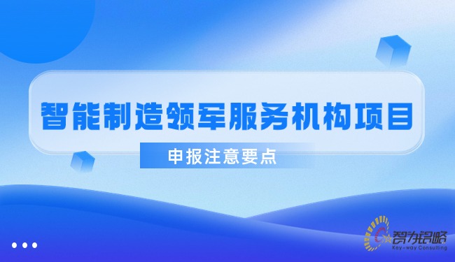 智能制造領(lǐng)軍服務(wù)機(jī)構(gòu)項(xiàng)目咨詢注意要點(diǎn).jpg