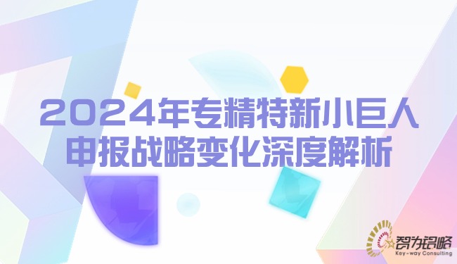 2024年專精特新小巨人申報戰(zhàn)略變化深度解析.jpg