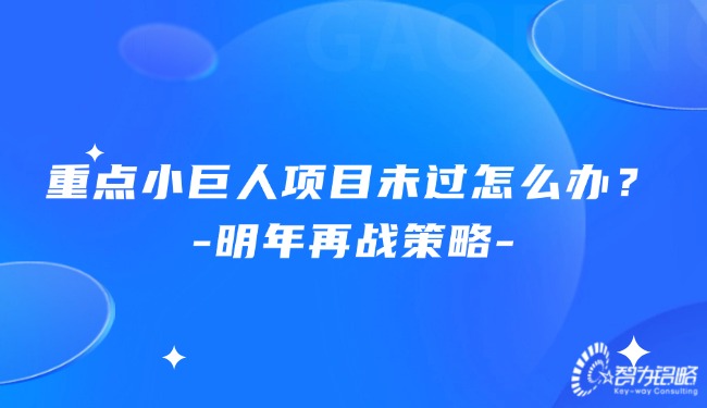 重點(diǎn)小巨人項(xiàng)目未過怎么辦？明年再戰(zhàn)策略.jpg