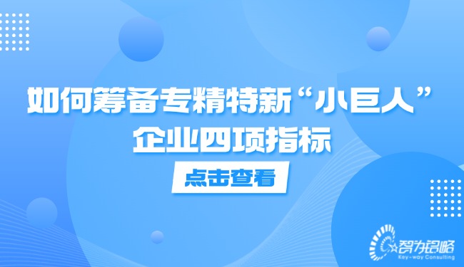 如何籌備專精特新“小巨人”企業(yè)四項指標.jpg